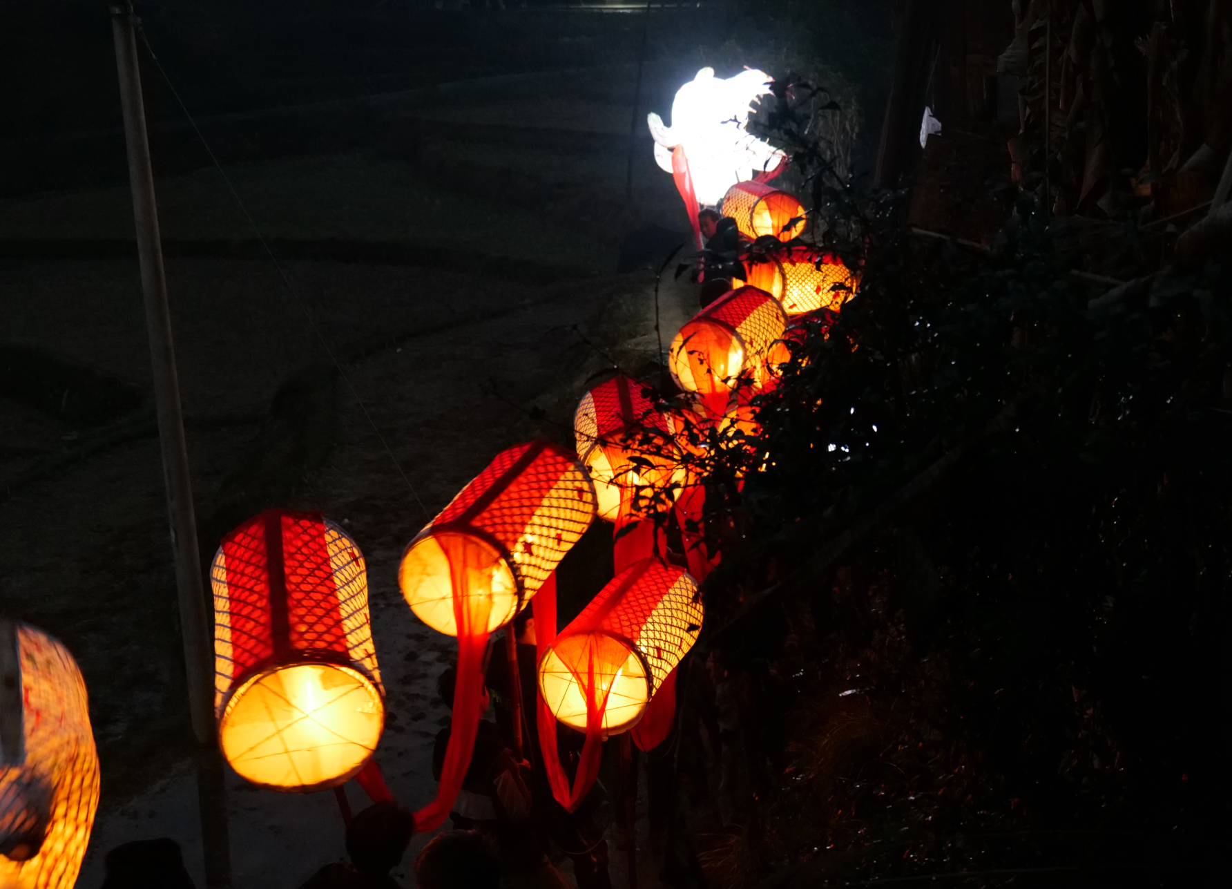 组图|溆浦龙灯舞起来,一帧一画动人心弦