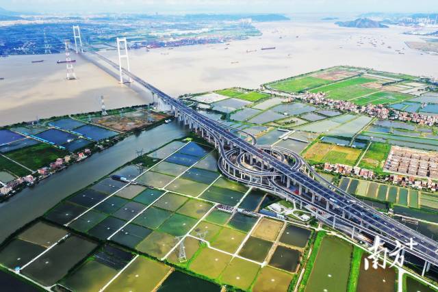 书记话丰收!番禺区委书记黄彪为丰收节"打call"