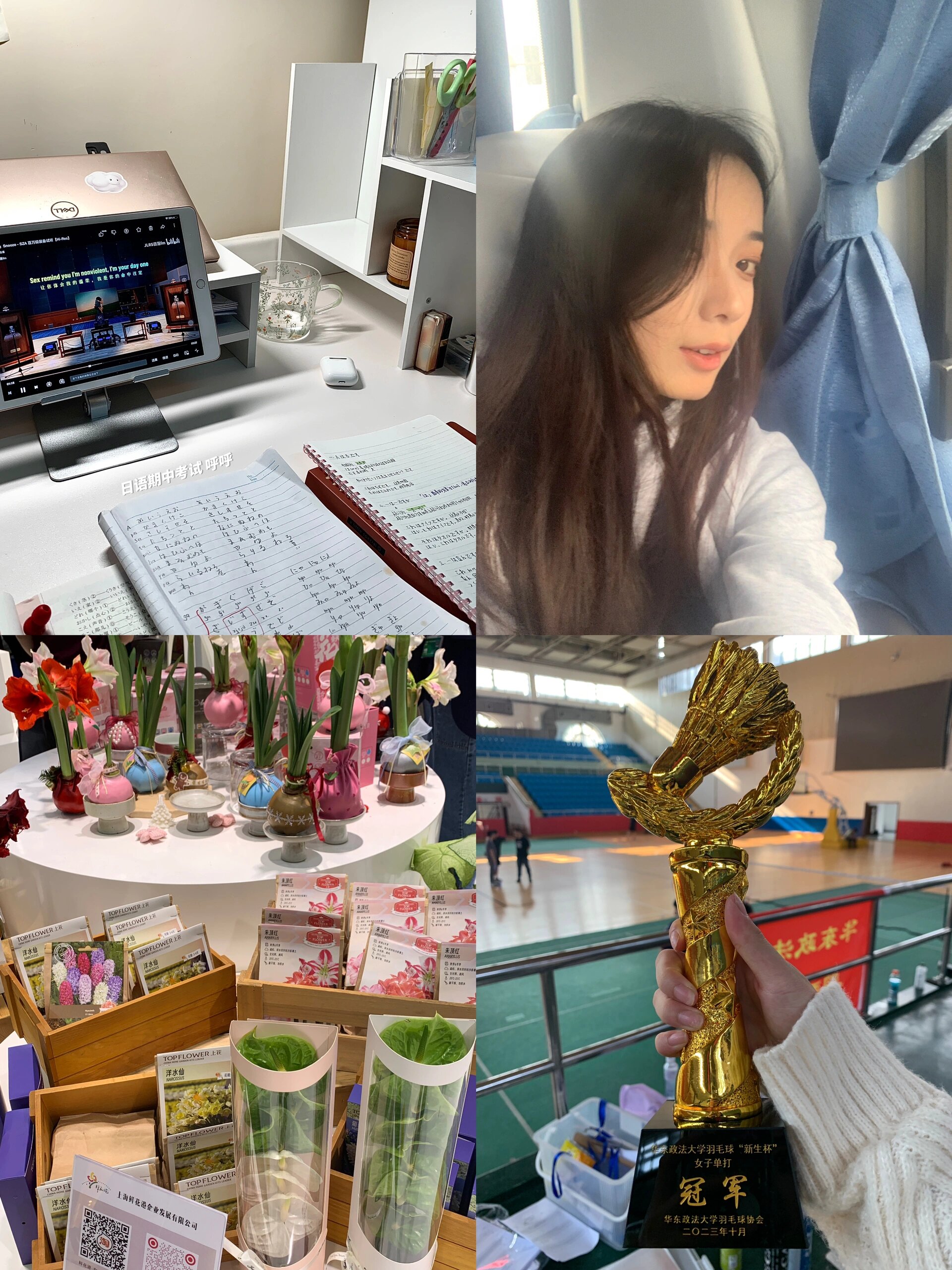 我总结了适合enfp人的工作
