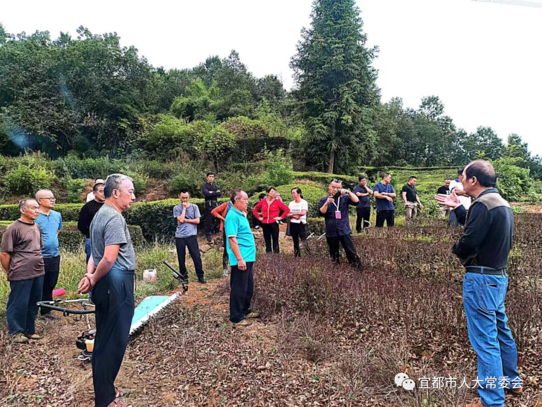 谢辉荣在现场会上强调对茶园的管理要"强措施,保安全.