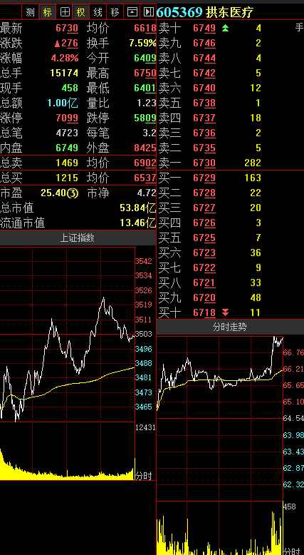 拱东医疗:2020年净利同比增长98.86,基本每股收益3.