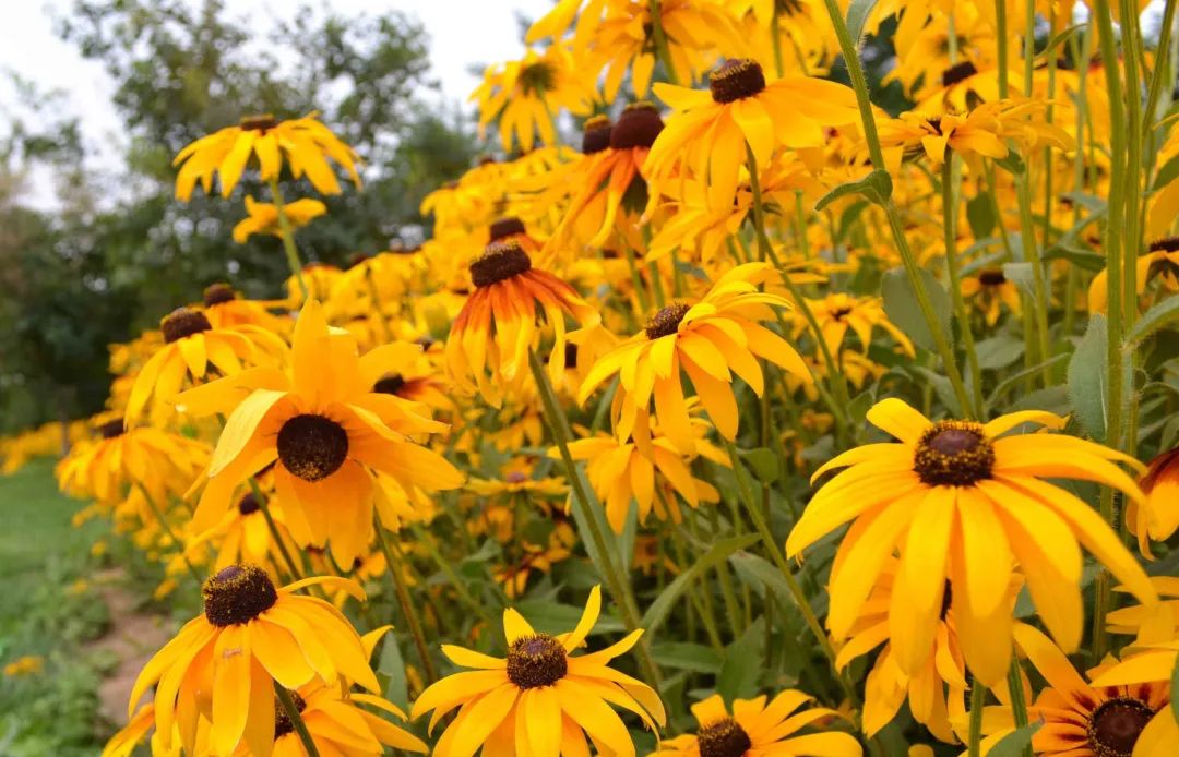 走进长春!120个网红打卡地之长春公园