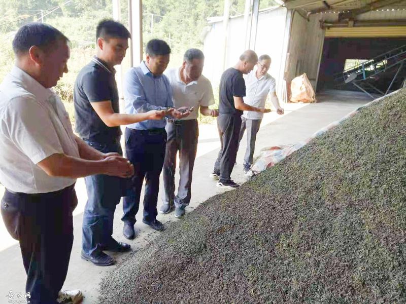 岳西县供销社储节伟主任调研基层供销社创建工作