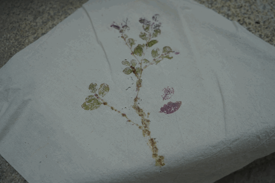 "节与物"系列 | 草木知时节:用植物敲拓染定格时光