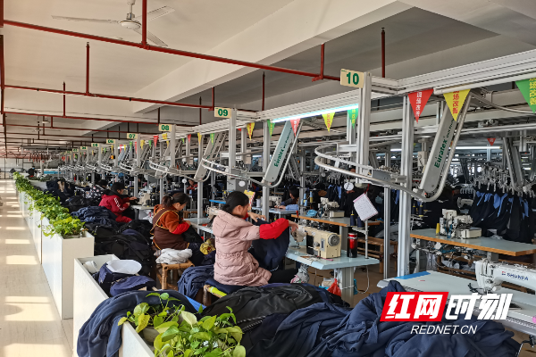 株洲远赢服饰:朝着打造全国校服品牌"前十"奔跑