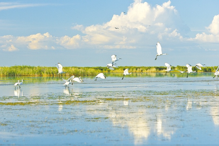内蒙古呼伦湖湿地美景欣赏