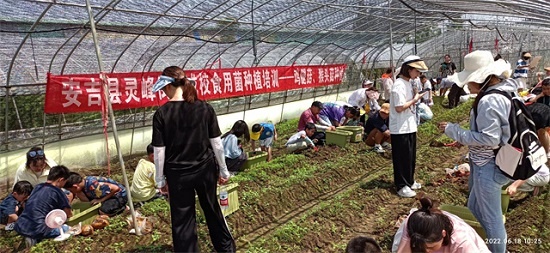 灵峰成校在田间地头开展亲子科普教育实践活动