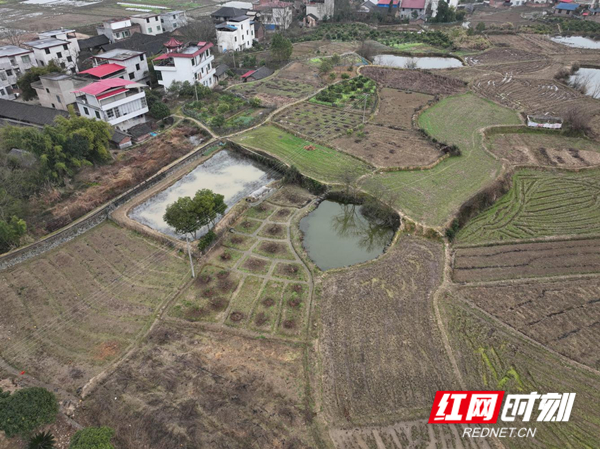 东安县芦洪市镇:无人机助力禁种铲毒踏查