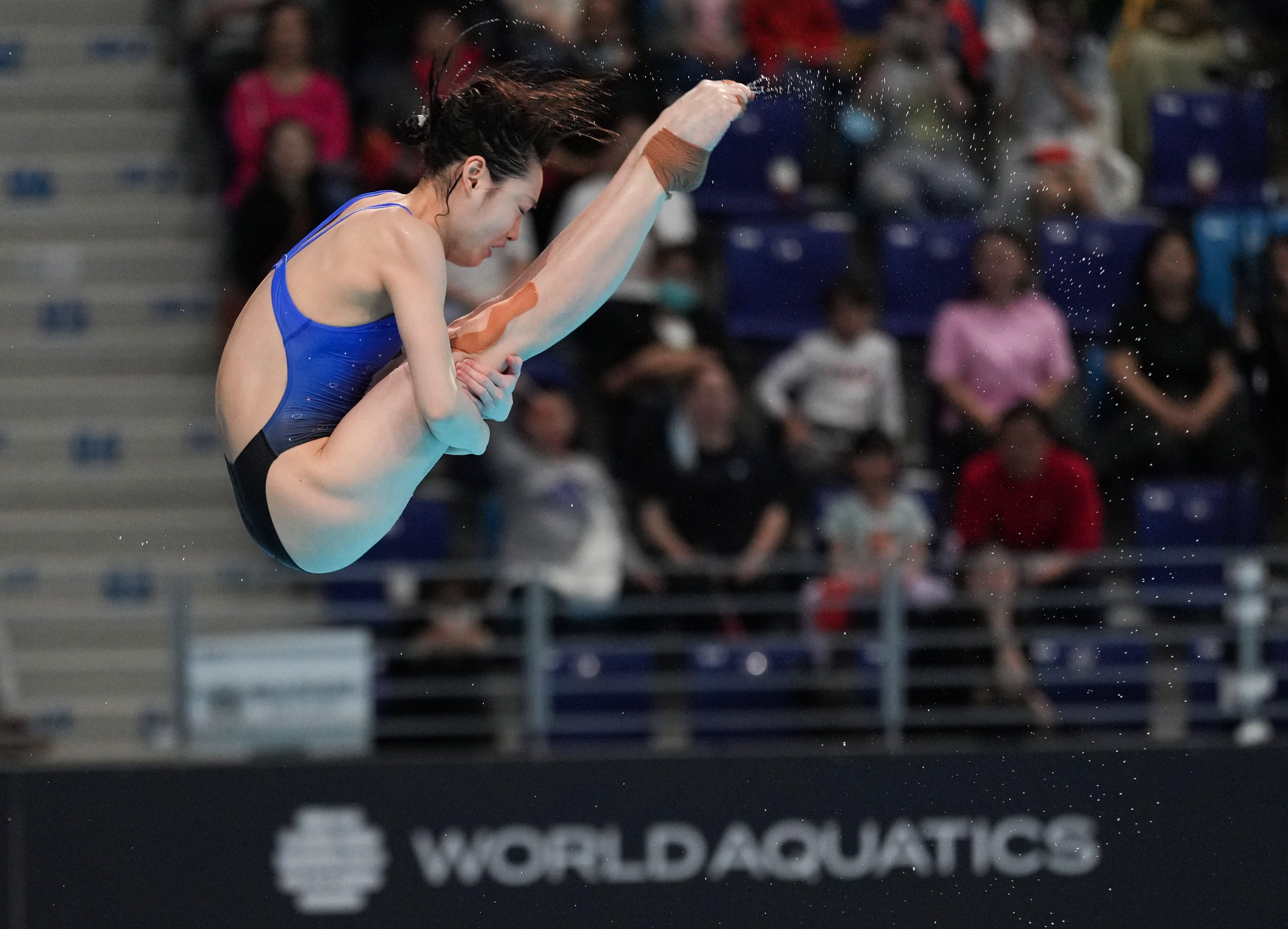 跳水——世界杯西安站女子3米板:陈艺文,昌雅妮晋级决赛