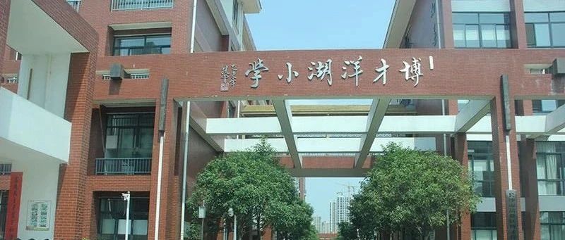 博才洋湖小学图片