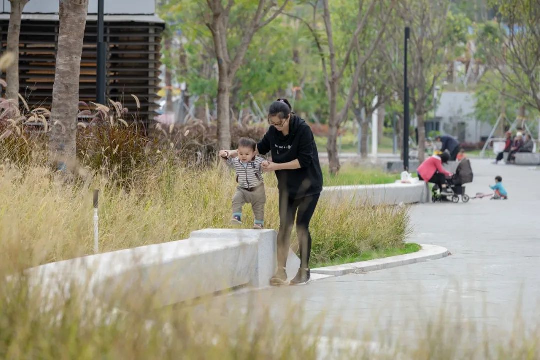 城市公共空间如何塑造蛇口公共生活丨城市空间专题