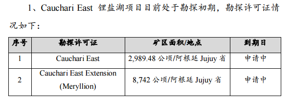 截胡后再被截胡,宁德时代收购千禧锂业告吹,最后赢家竟是