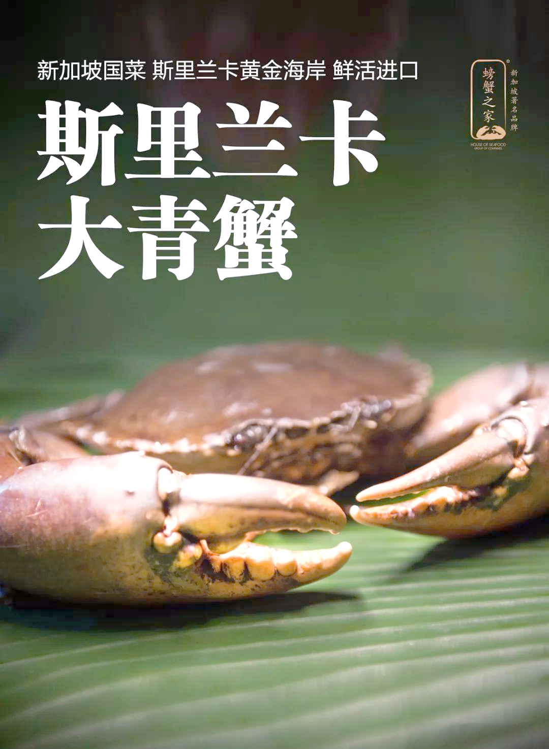 青蟹的烹饪方法(青蟹的烹饪方法和技巧)