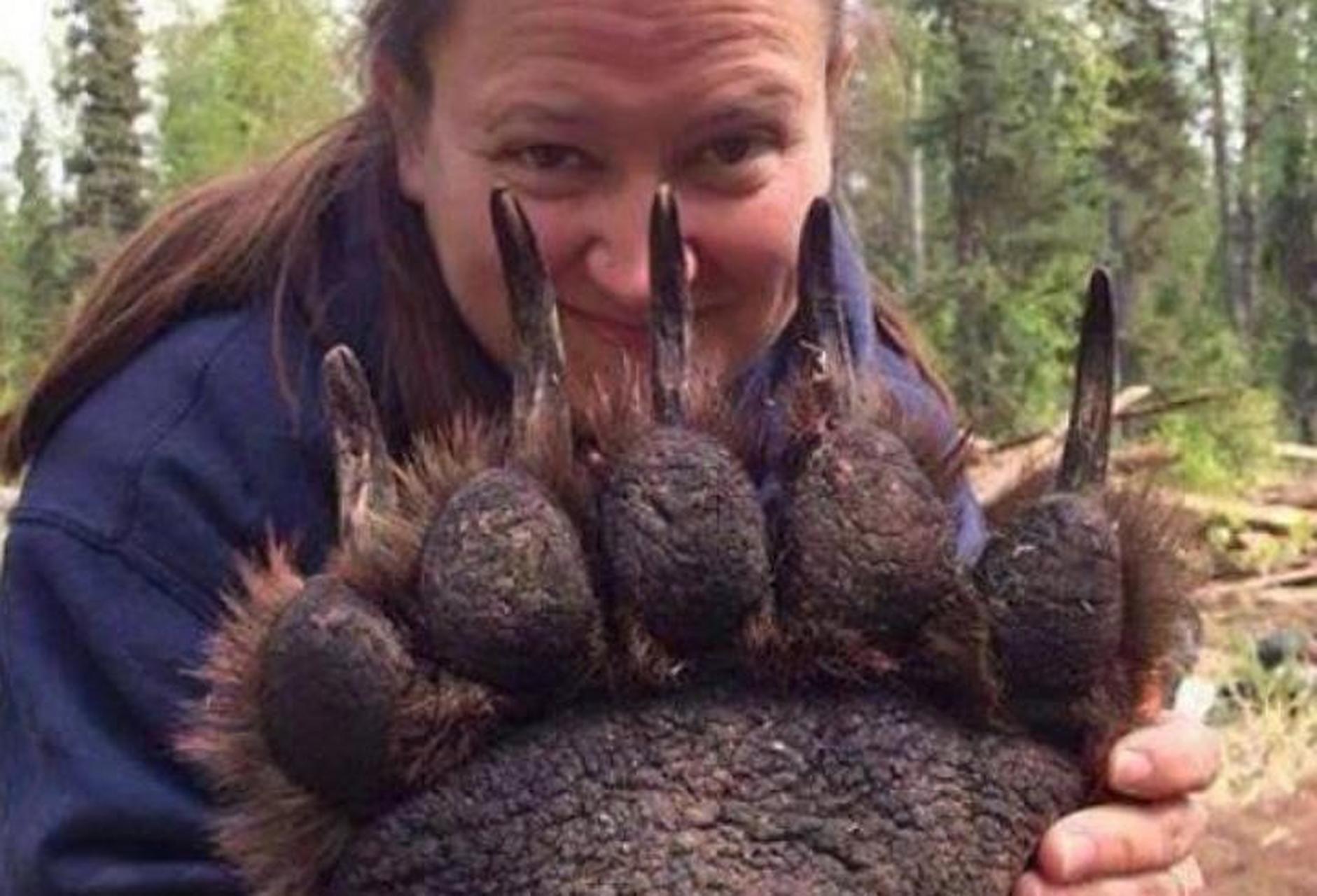 网友:用棕熊的手掌,至少我要吐出血[捂住脸]