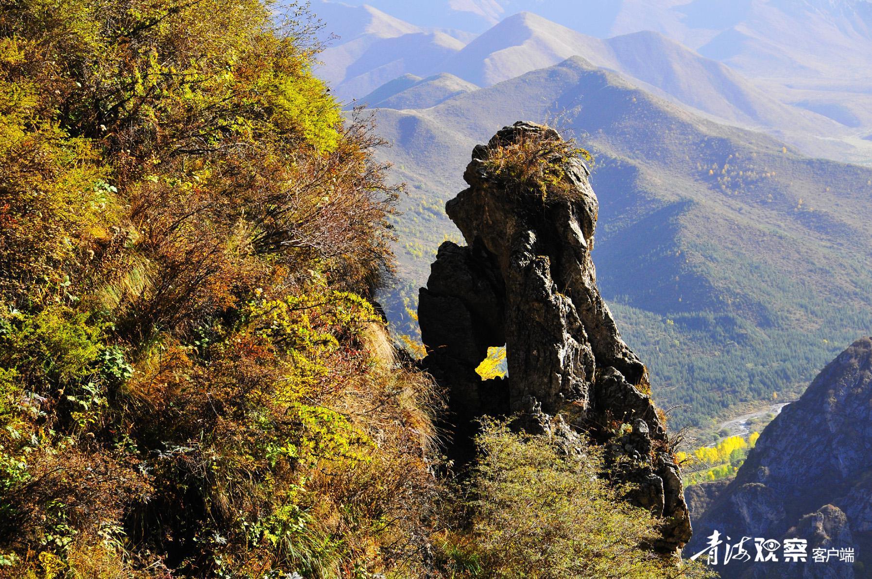 南朔山纪游(下)