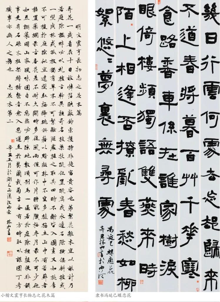 《侨·艺术》91|林如:笔精墨妙人如诗