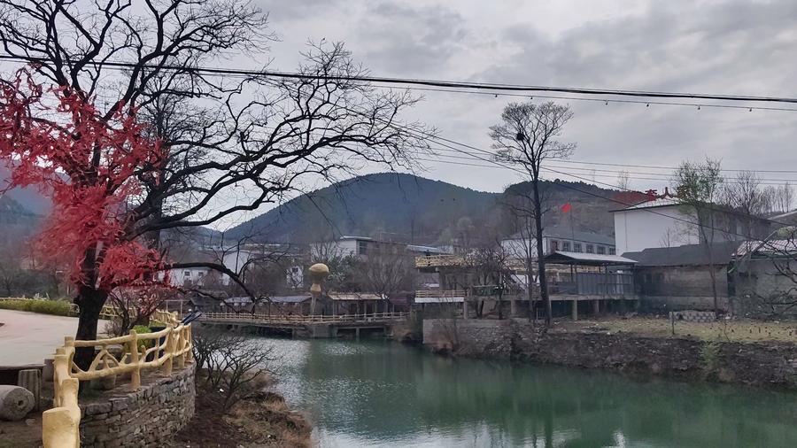 枣庄乡村振兴采风行⑦山亭区徐庄镇:"农文旅"融合发展鼓起百姓"钱袋子