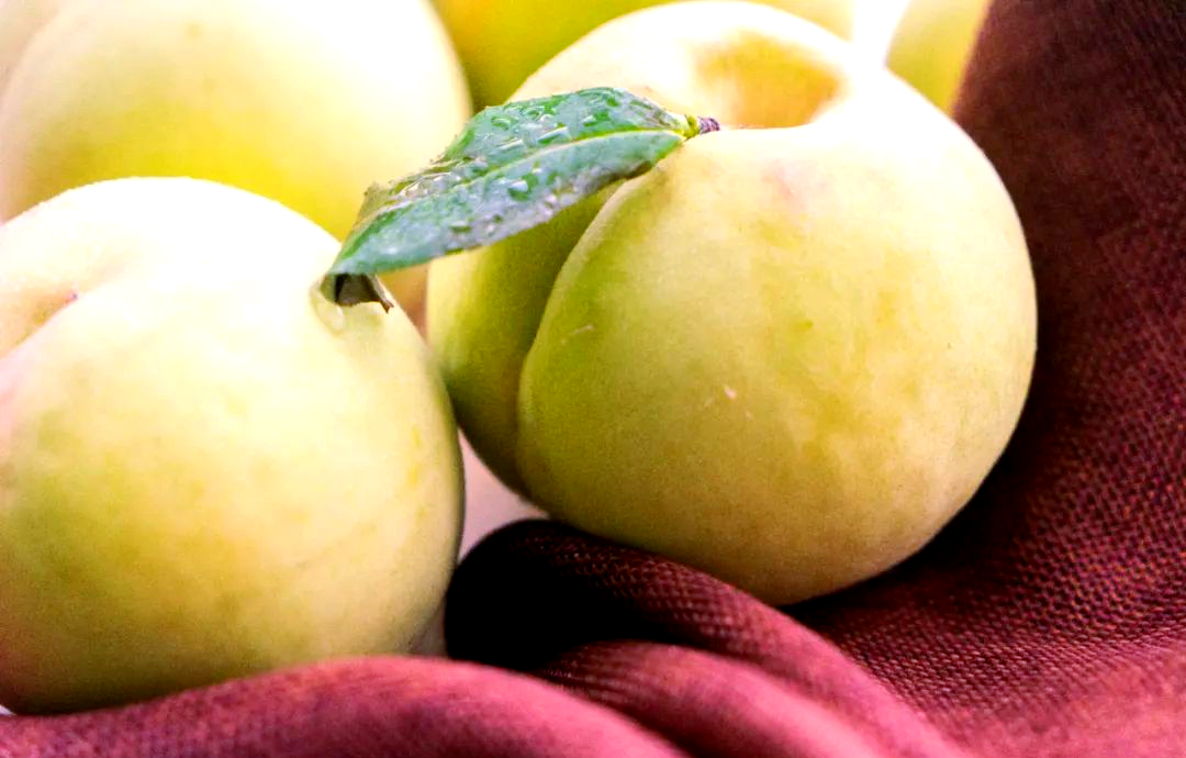 青桃，青桃小说