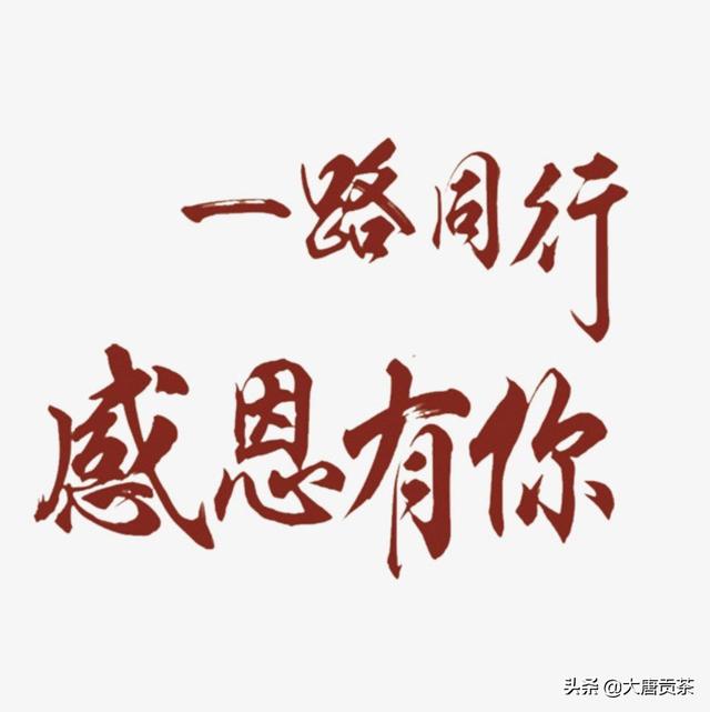 一路同行,感恩有你