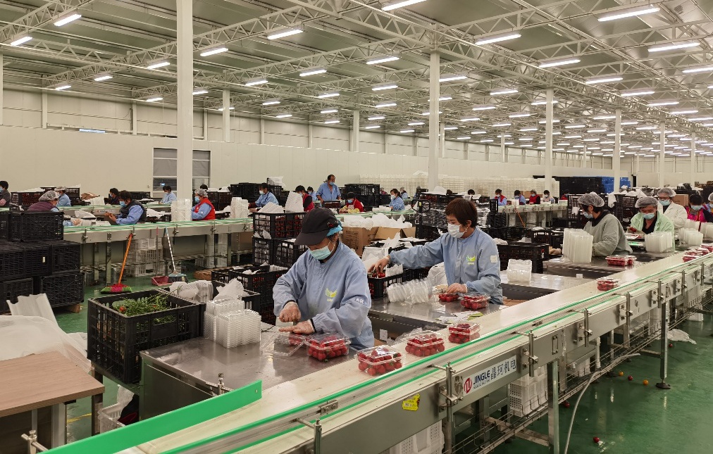 温暖坚守,全力保供!这是一份来自由由集团的抗疫实录