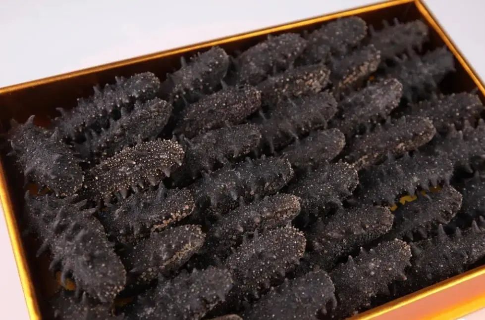 大暑来临,滋阴防湿吃海参,最管用啦!