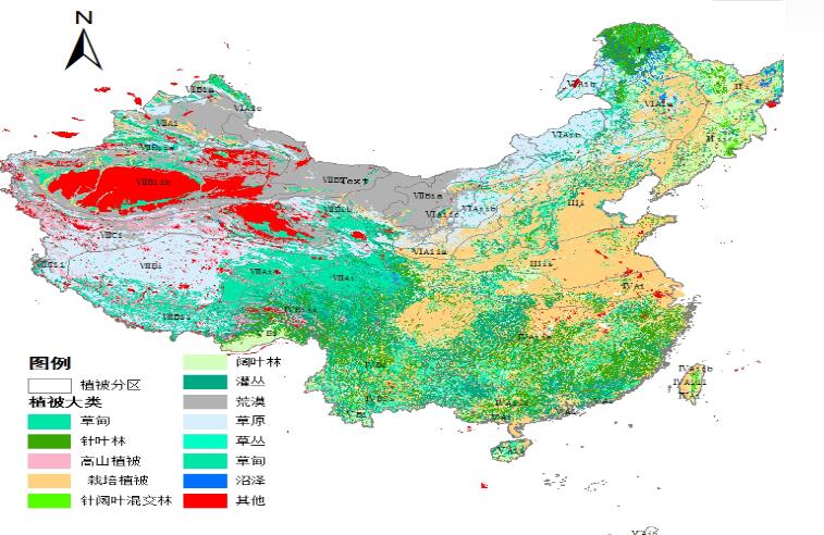 我国的植被分布示意图图片