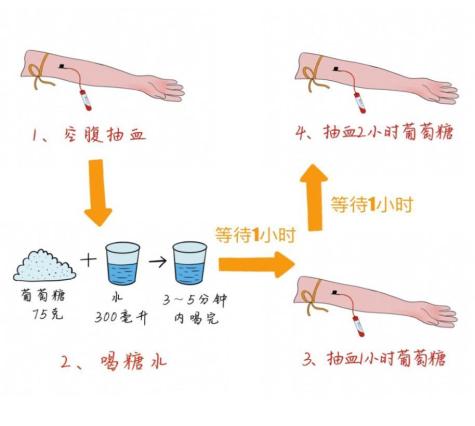 糖耐检查流程图片