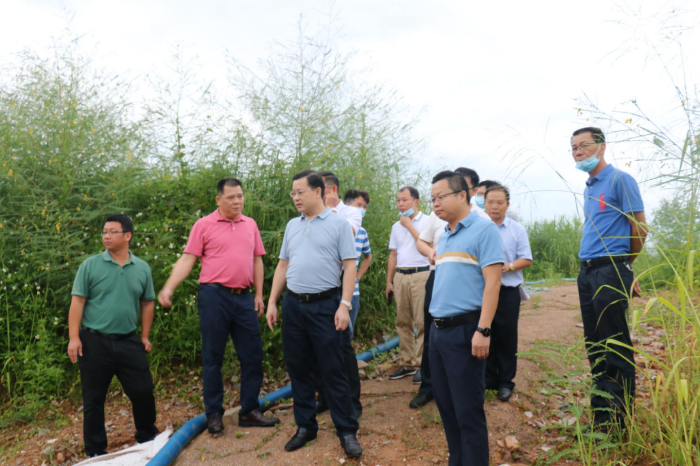 县领导冯仕杰同志带队到大岭街道开展万松河水污染综合整治情况巡查