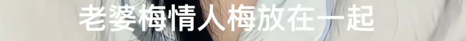 “同享老婆梅”“同享情人梅”包装引不适，品牌回应：全部召回，永久下架！ - 图5