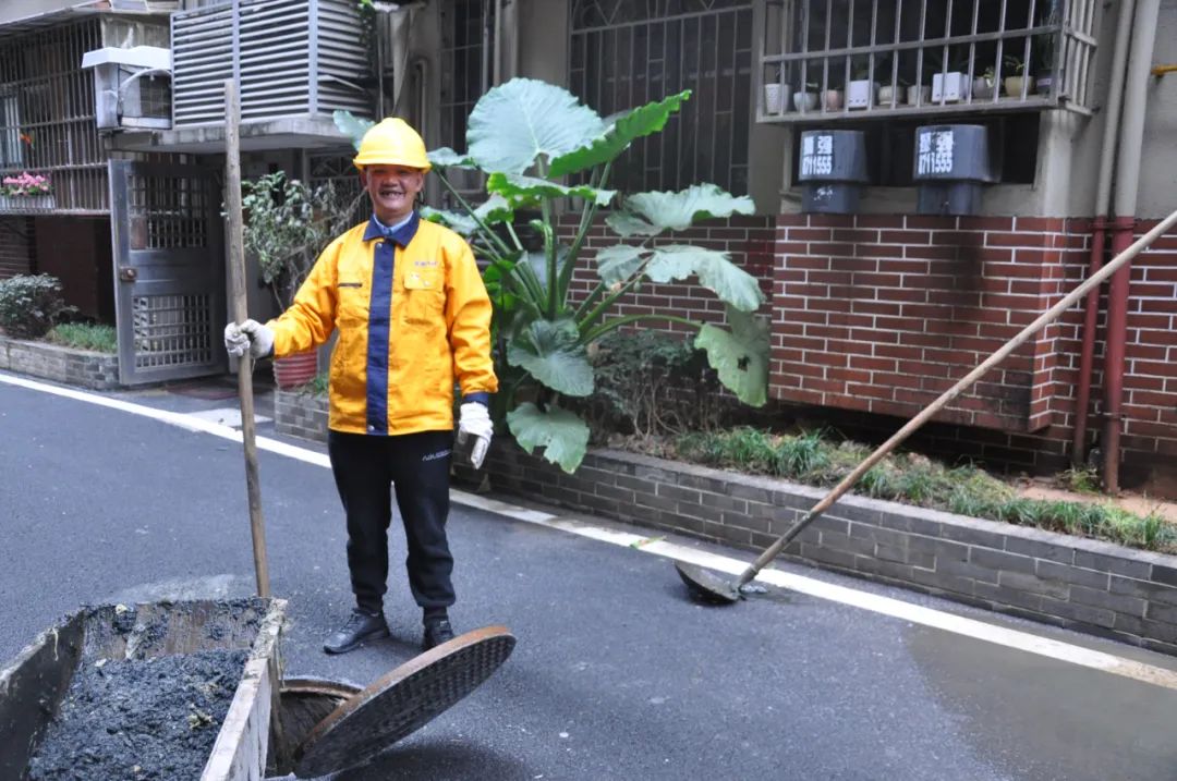 芙蓉好人花开满城香