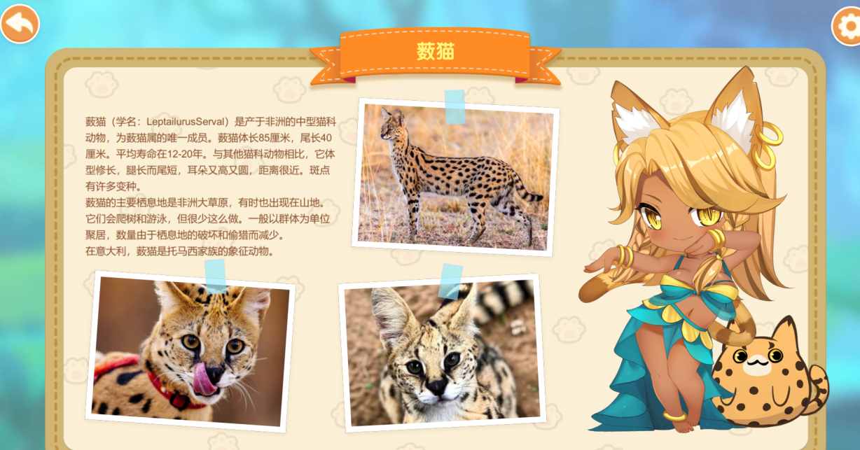 《miss neko 2》一款关于猫咪的小游戏