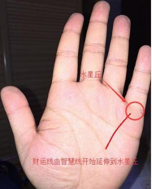 女人手掌月丘有簸箕纹图片