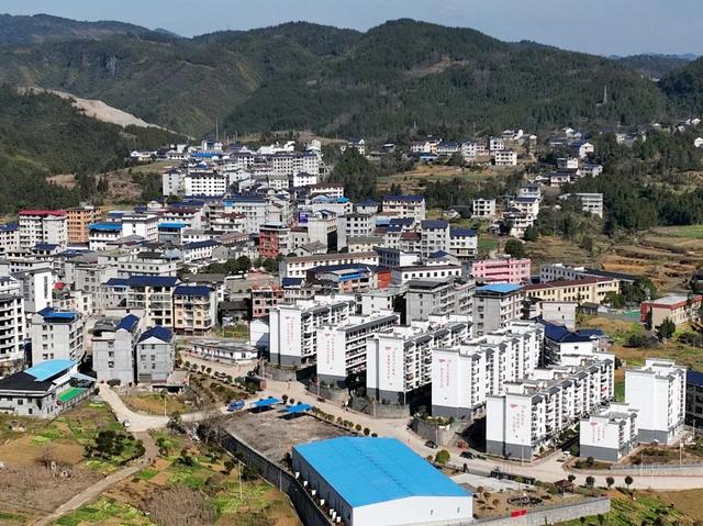 换个视角看中国粽叶之乡