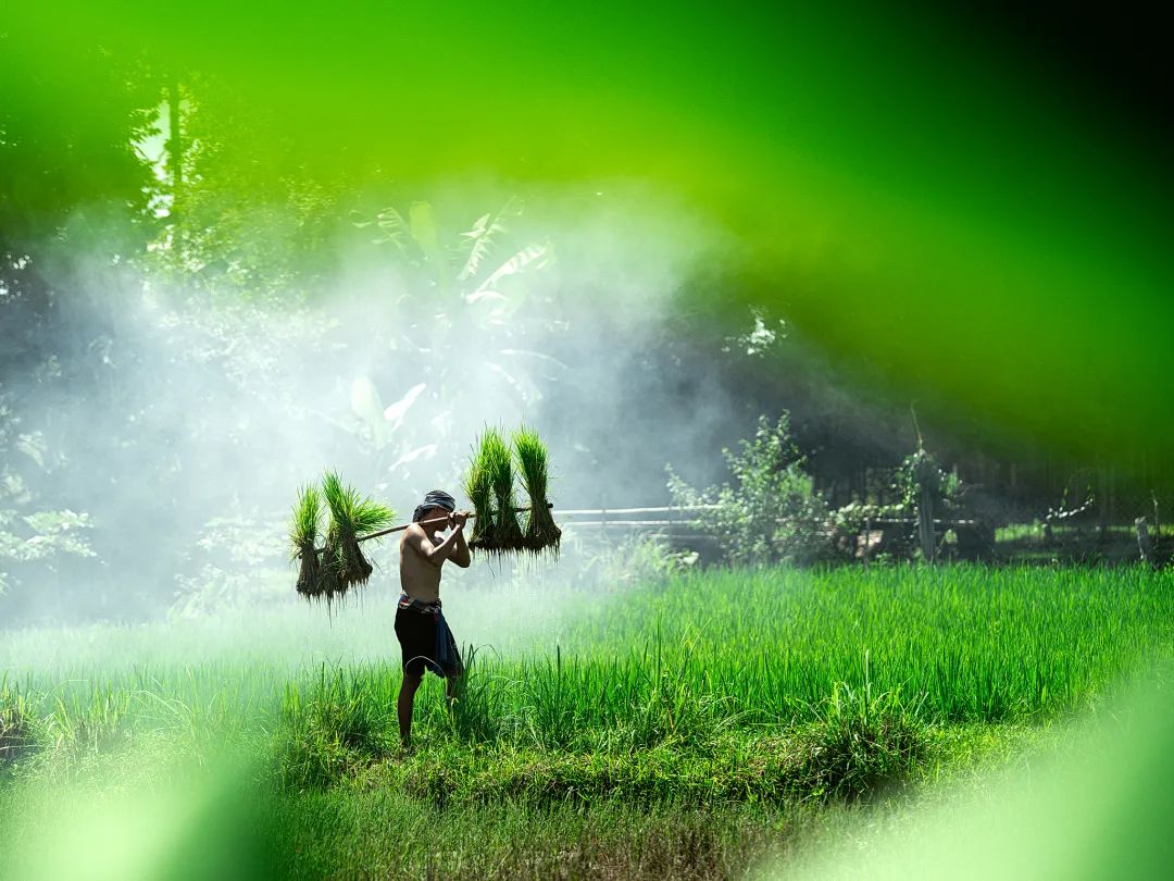 全景老挝︱绝世风光·原始人文·特色人像·深度摄影