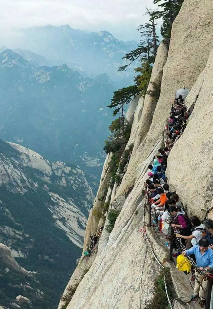 一切美景在险峰图片