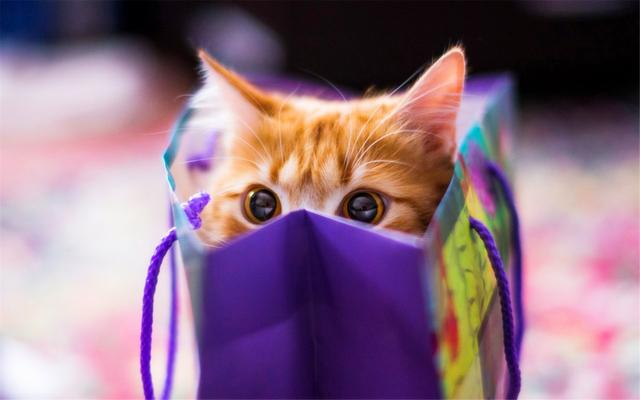 不擅长与人交朋友,但人际关系却好得出奇,让人羡慕的星座