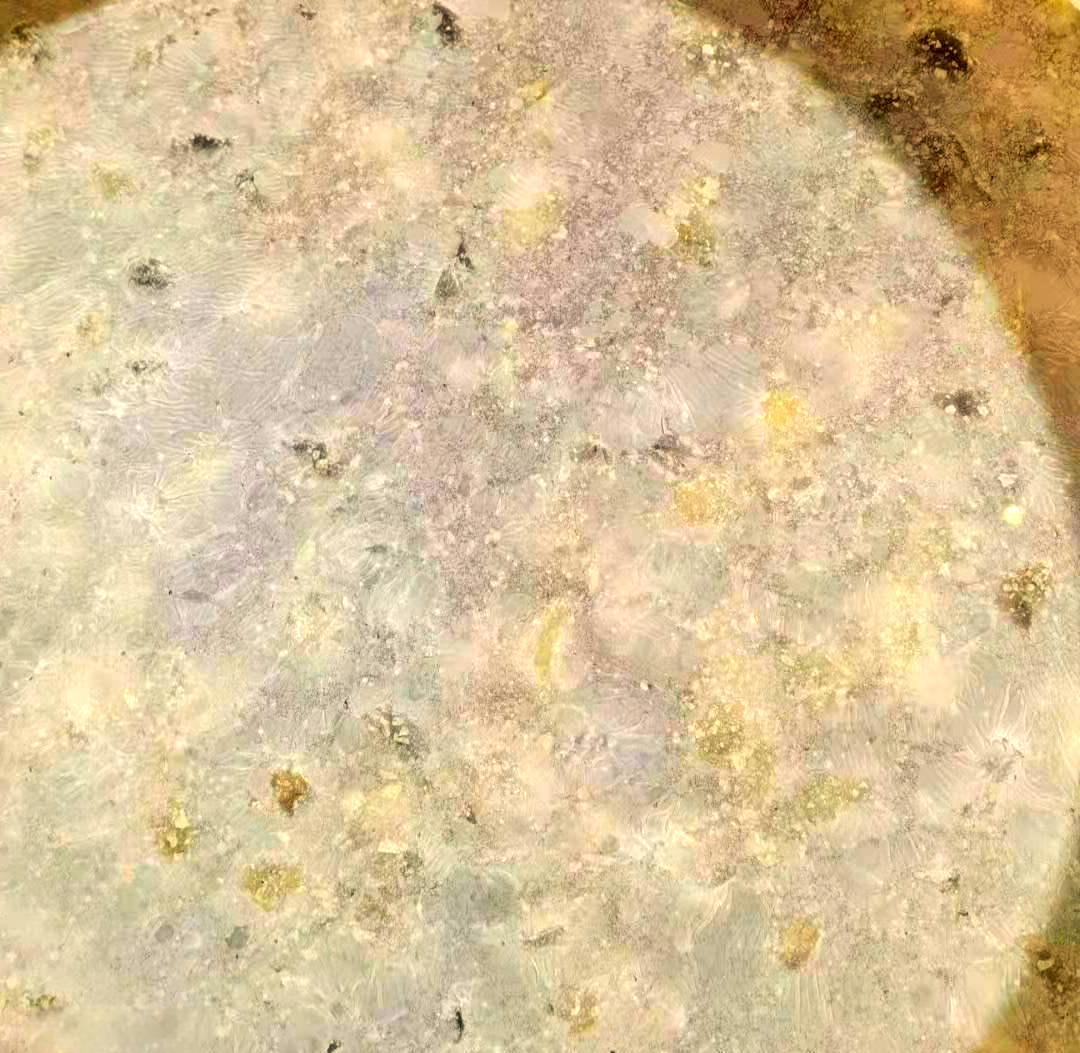 酵素制作中的白膜问题解析