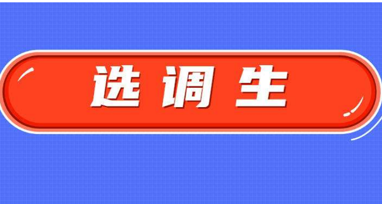 选调生报考条件及时间