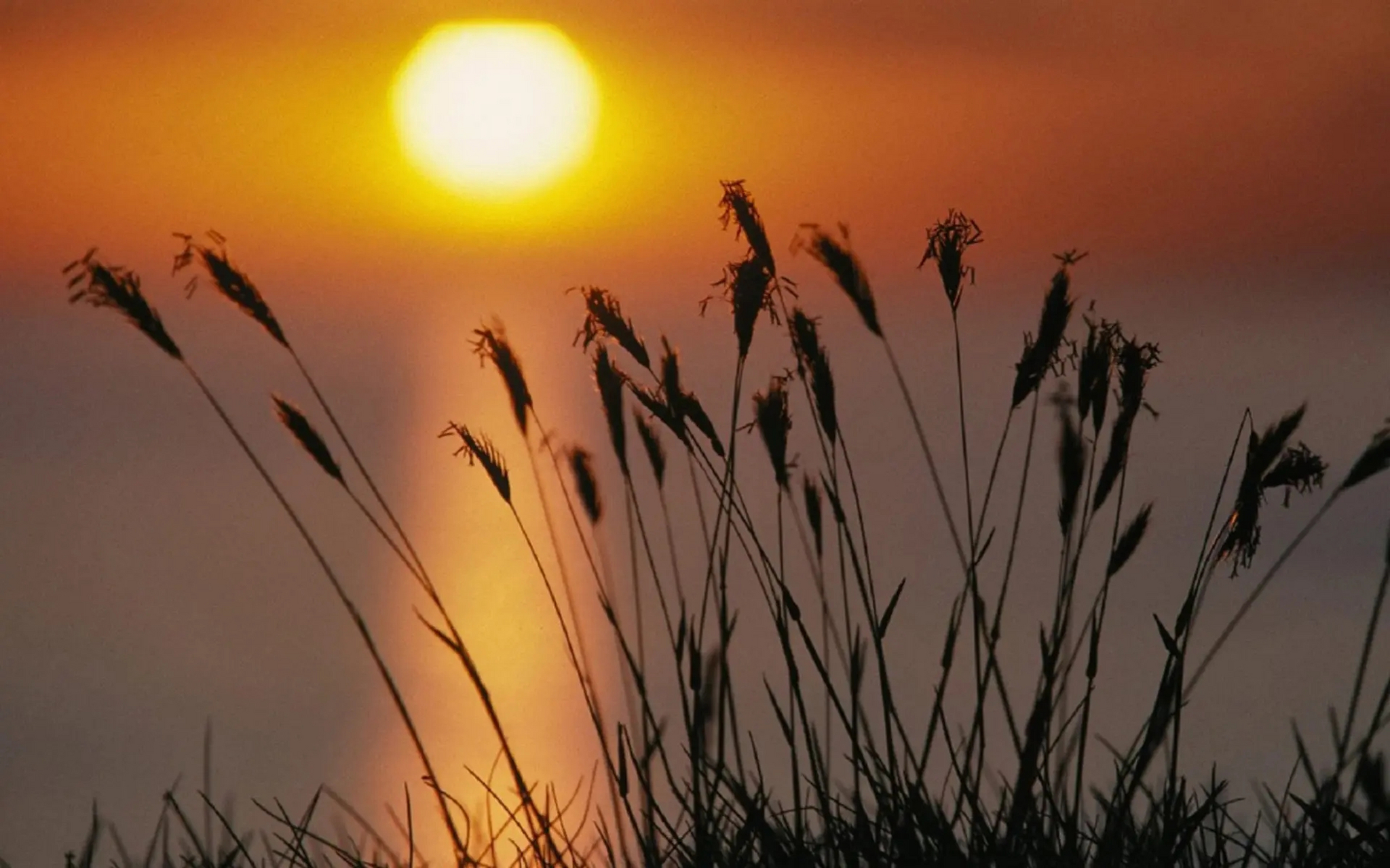 就算是马云马化腾,也有他们心烦的事情,他比我们享受到的更多,烦恼也