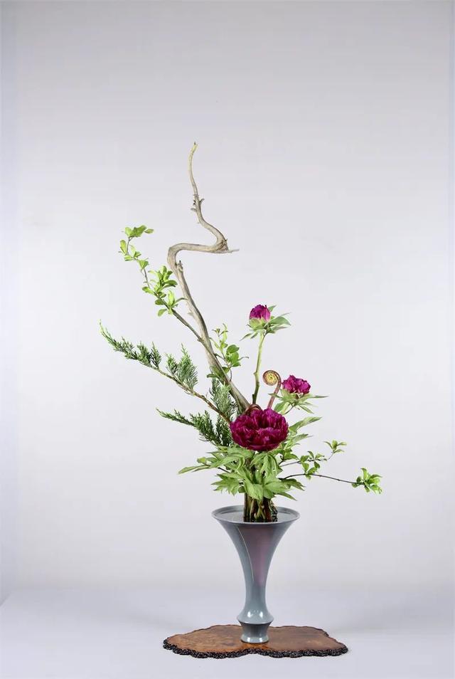 谷雨时节,40个牡丹芍药插花作品,让你尽赏最美春色