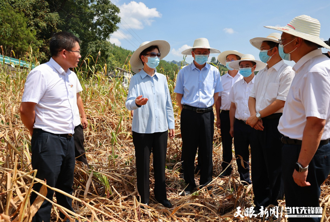 谌贻琴李炳军调研指导抗旱救灾工作