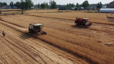 眼下正值麦收大忙时节在颍州区三塔集镇洲孜村村党支部书记张少清正
