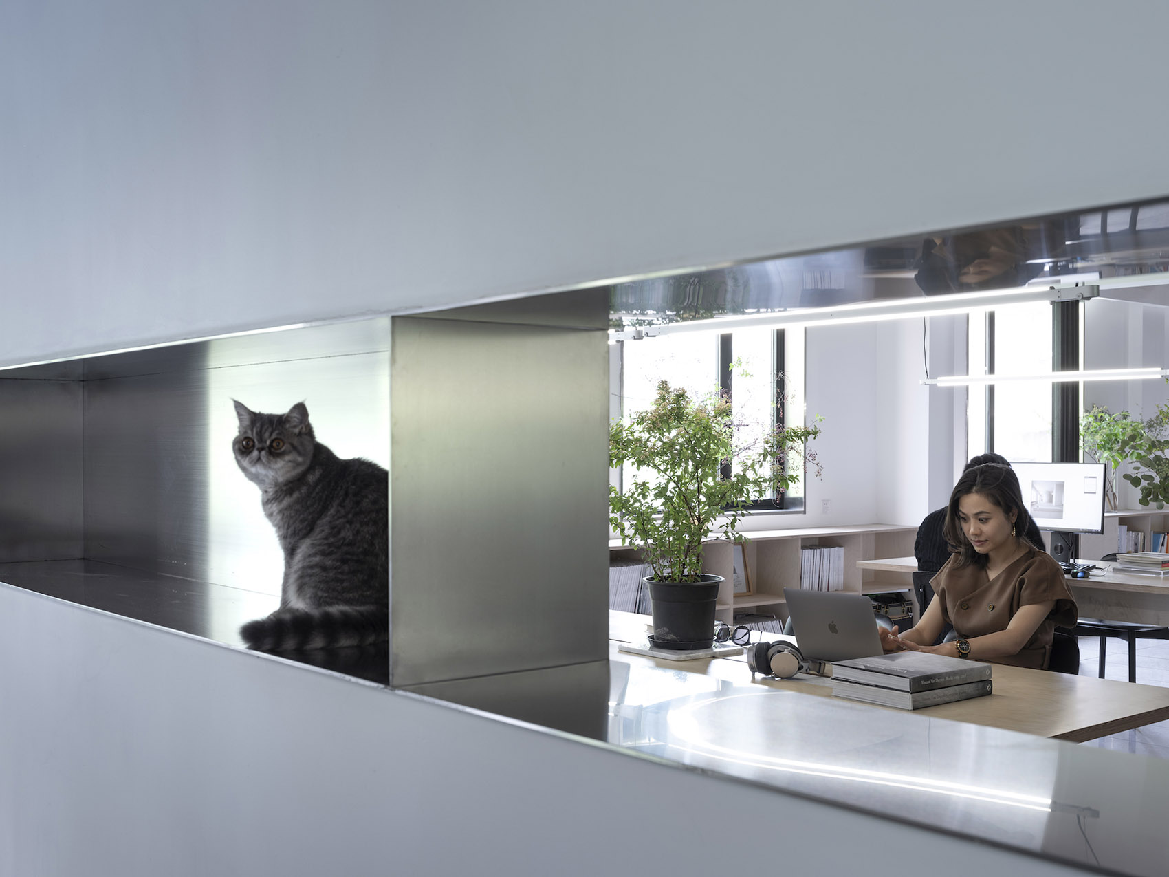 江苏淮安·“芷麦”甜品咖啡店 / SIM