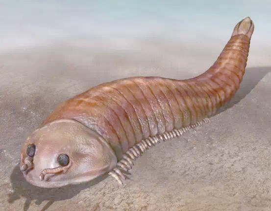 探索远古生物世界:欧巴宾海蝎与众多奇特物种