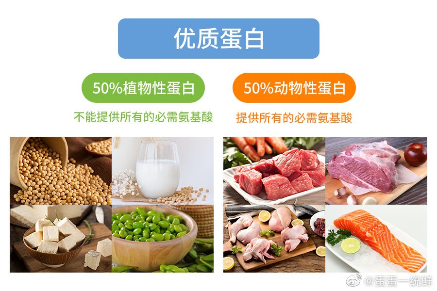 鸡蛋是优质蛋白质的来源