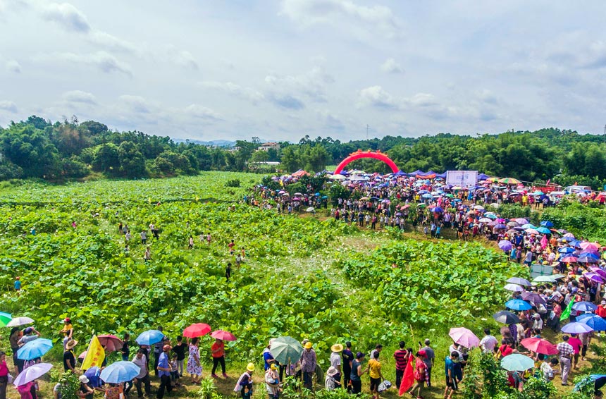 容县自良镇龙镇村走出乡村振兴新路子