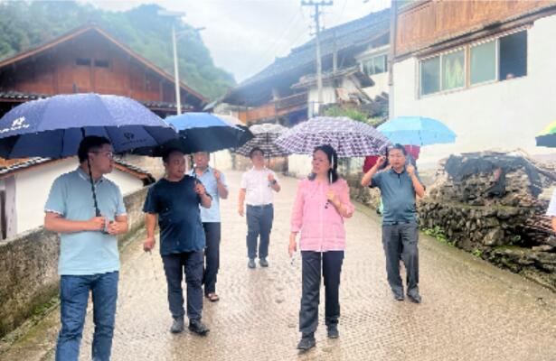 和美城乡 四大行动|丹寨县委副书记陈尚京到南皋乡调研