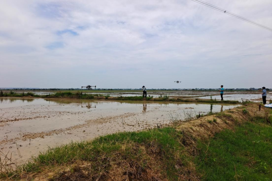 江西南昌县塘南镇:芒种时节夏种忙 机械化助力农业现代化