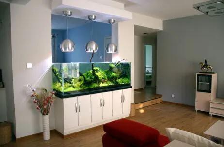 禁忌:室内鱼缸的位置及鱼的数量不能乱来哦,注意这几点万事大吉