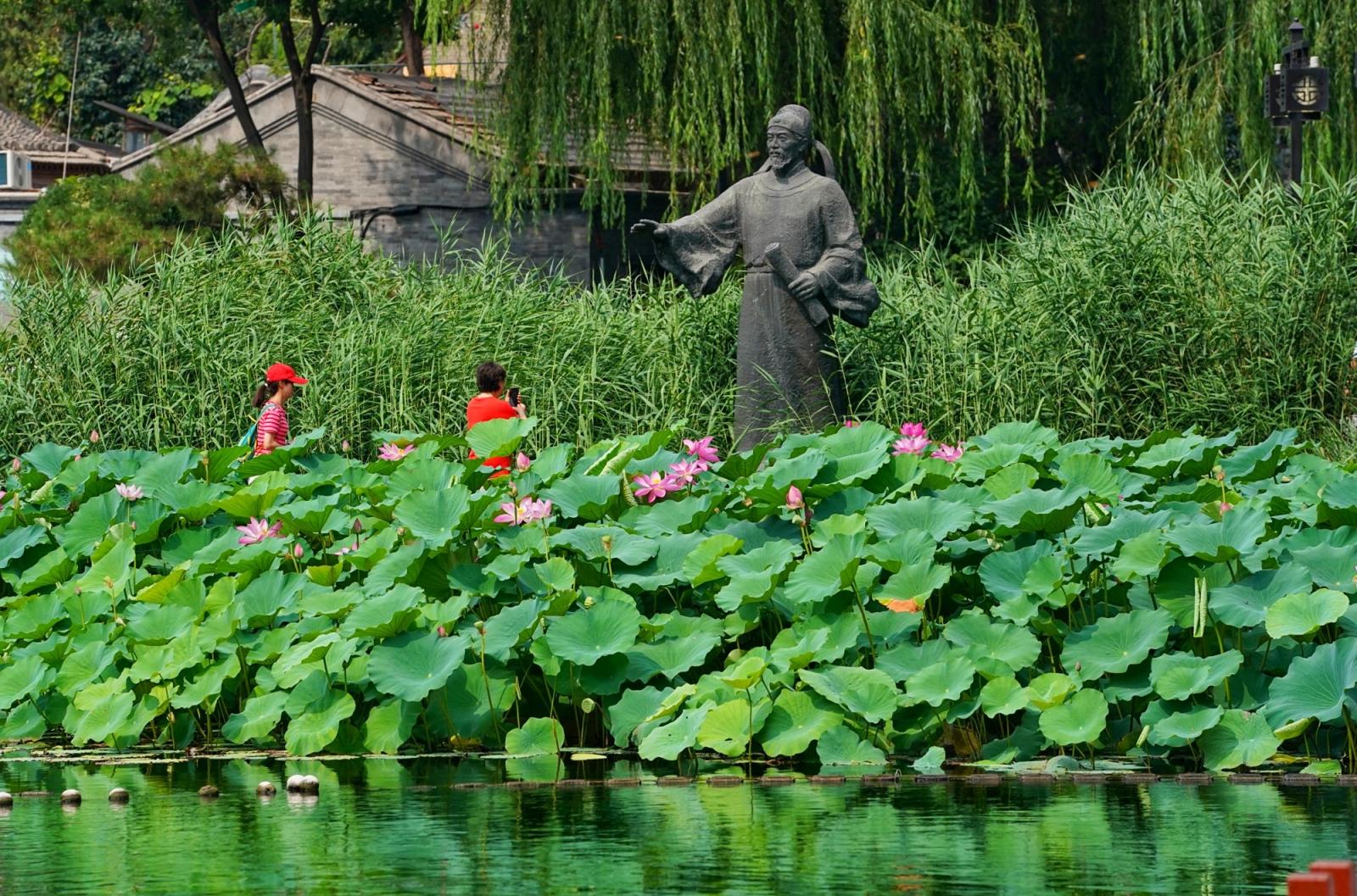 西海湿地公园图片图片